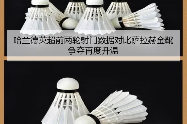 哈兰德英超前两轮射门数据对比萨拉赫金靴争夺再度升温